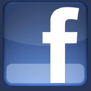 icon-fb2.gif